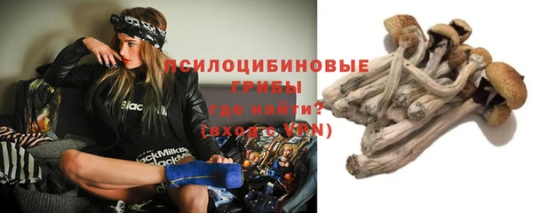 метадон Коряжма