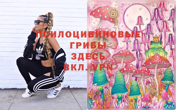 метадон Коряжма