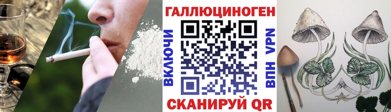 Галлюциногенные грибы Psilocybe  Купить где  Котлас 